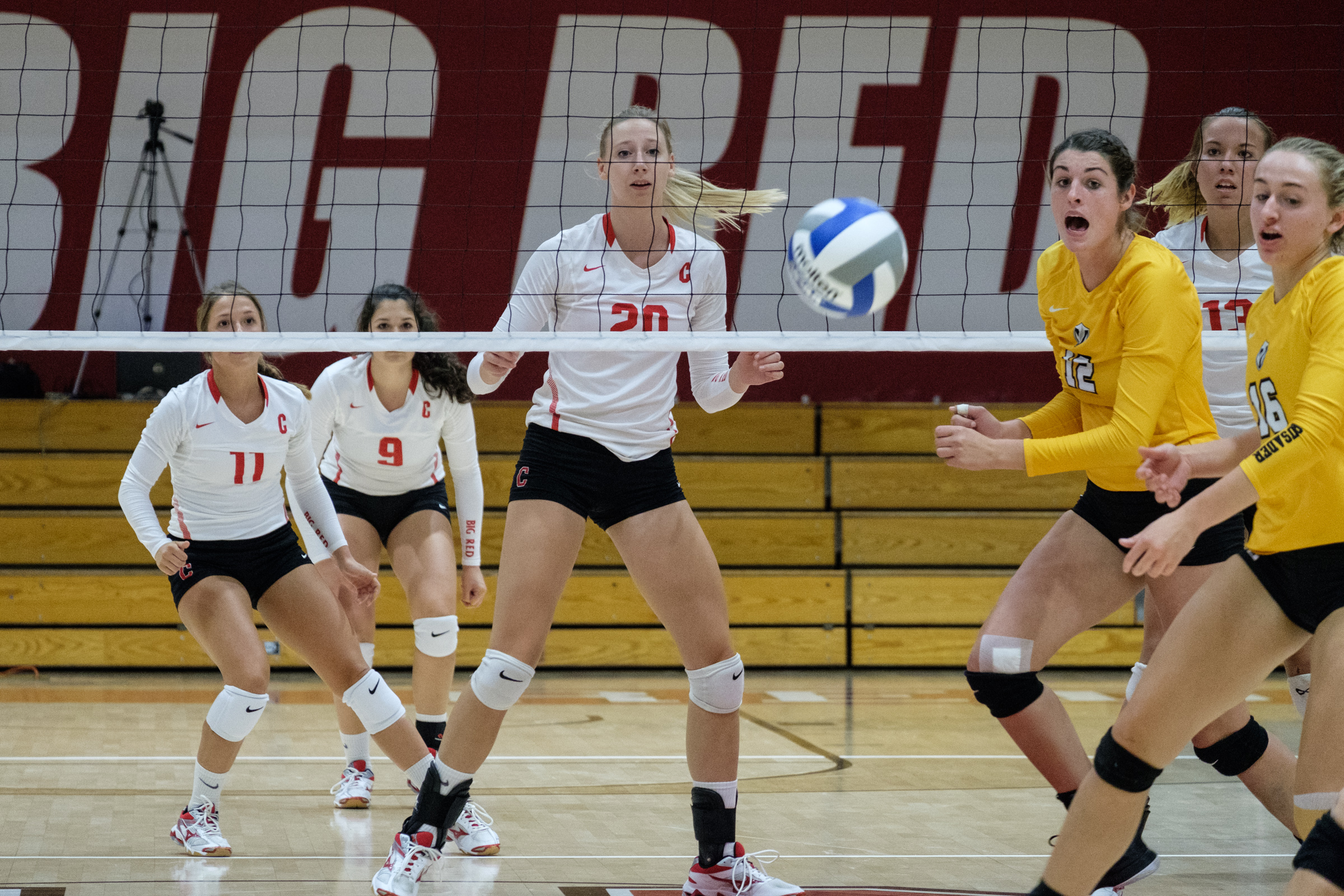 Volleyball Avenges Dartmouth Harvard To Move Into 3rd In Ivy League The Cornell Daily Sun