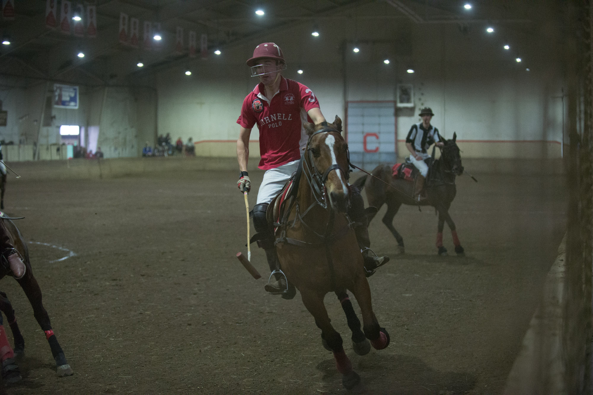 Cornell Polo Teams Poised to Maintain Dominance, Eye Championships