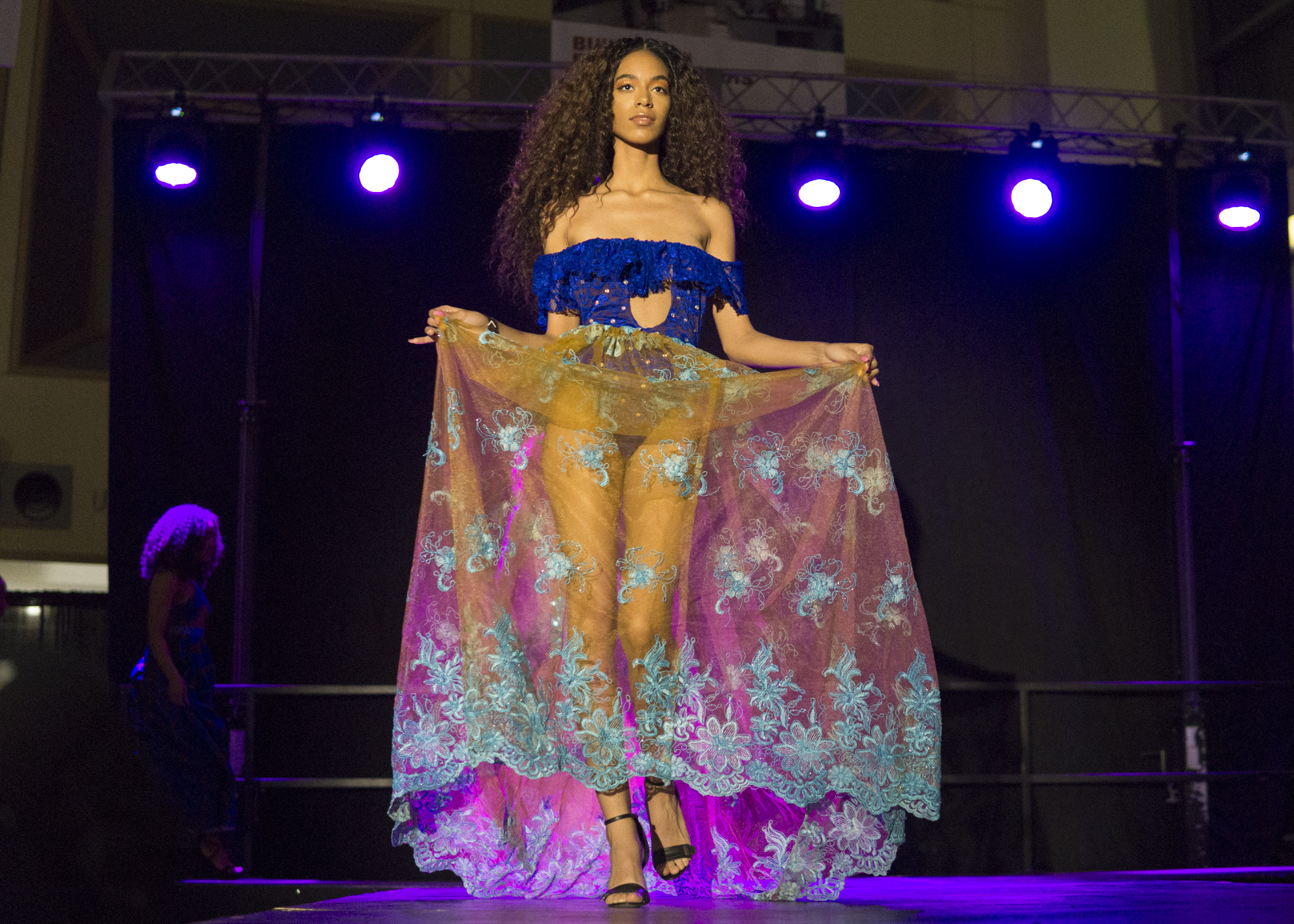 Rip the Runway fashion show celebrates African folktales, heritage