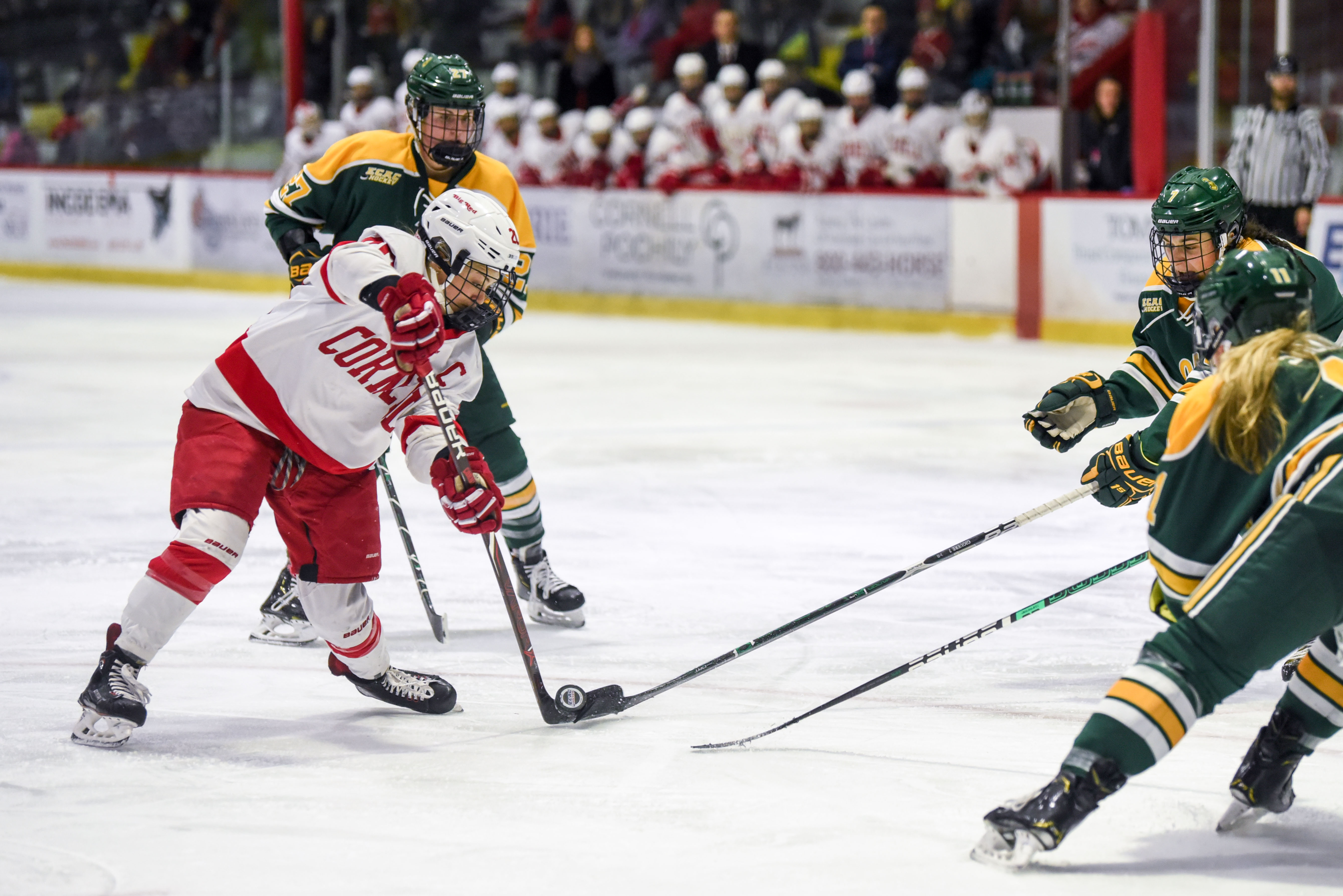 Live Blog No. 5 Women’s Hockey Takes on No. 4 Clarkson in ECAC