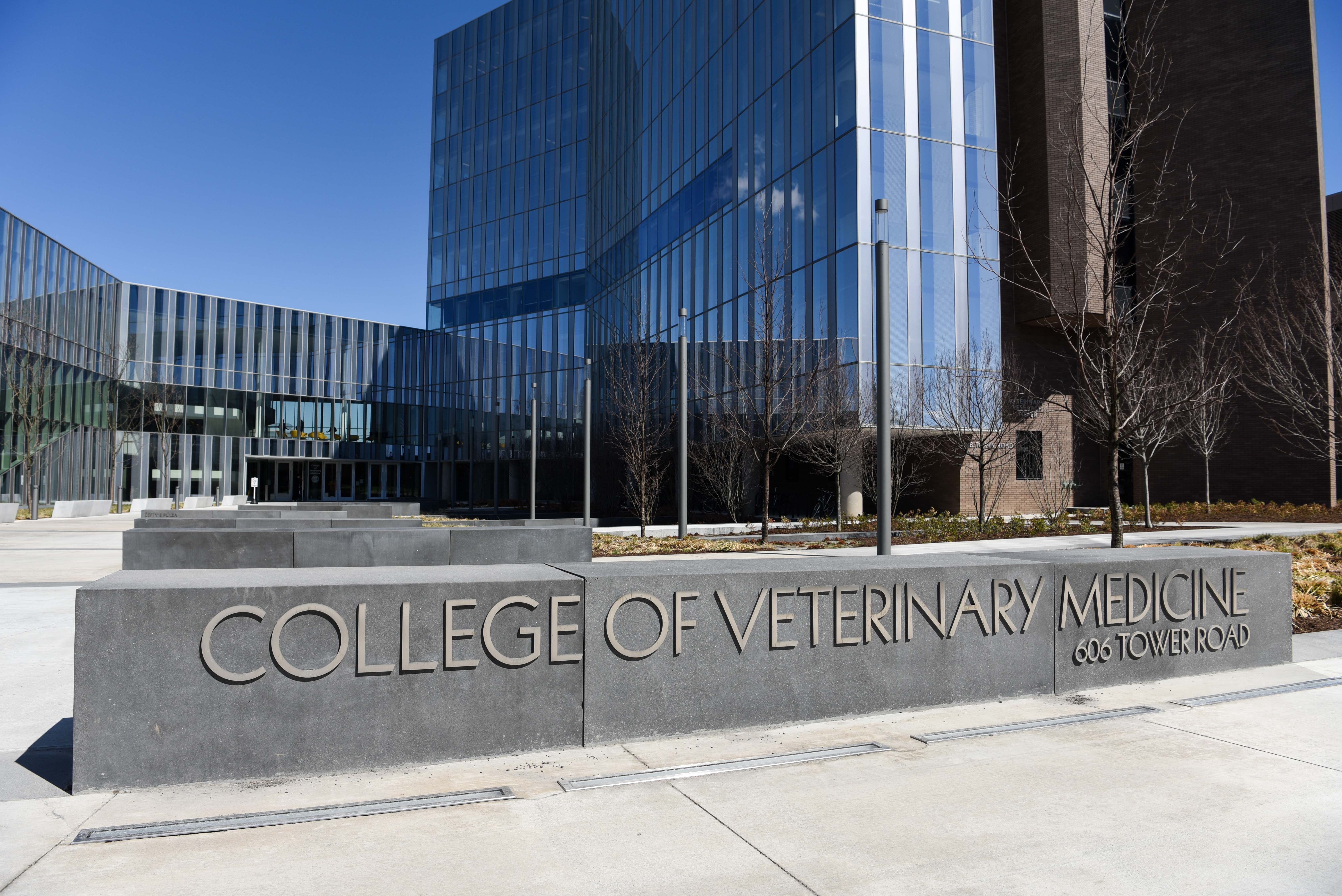 Veterinary School Programs at Earl Walker blog