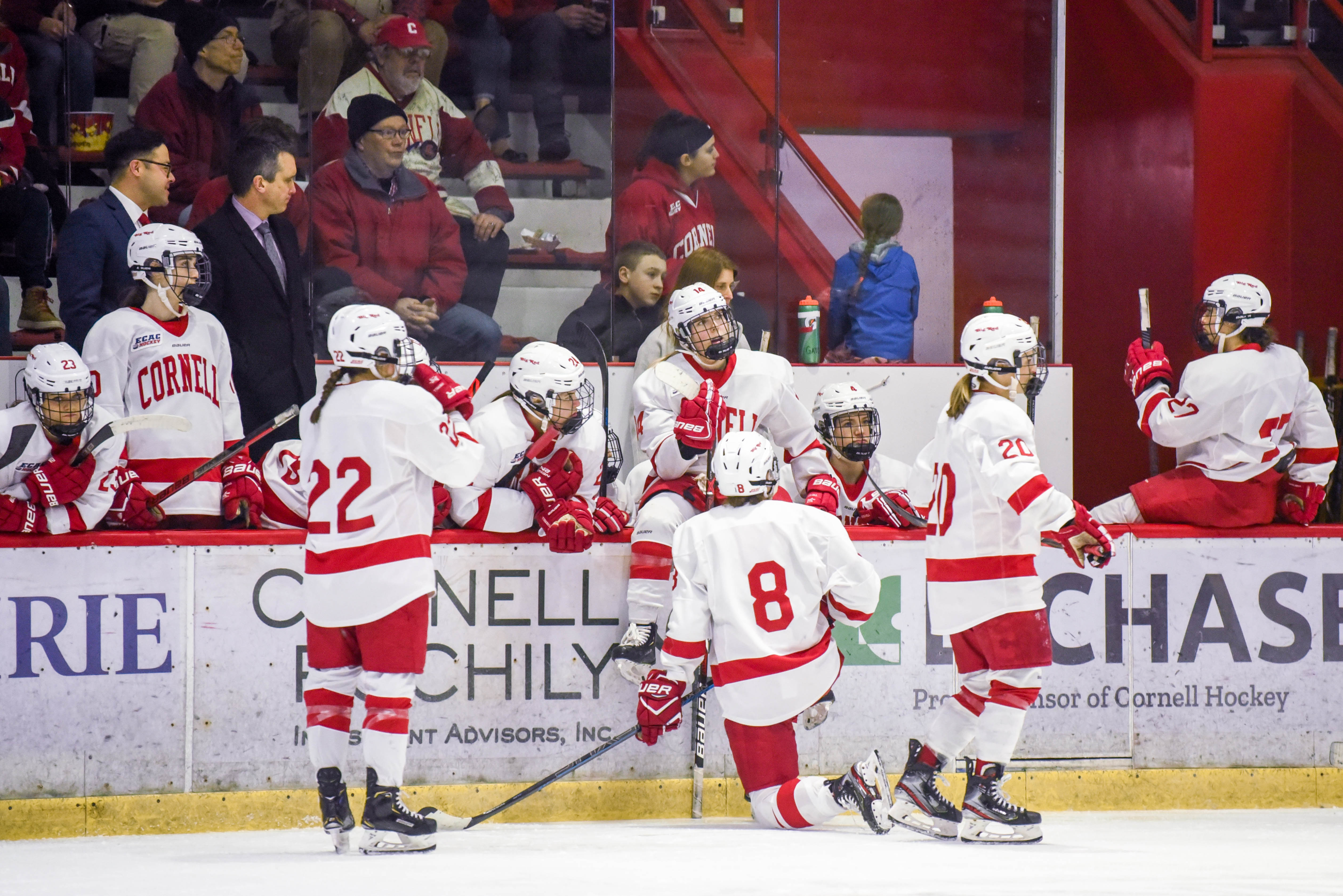 The 201920 Cornell Hockey Season in Photos The Cornell Daily Sun